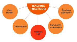 SLDM_teaching_practicum_01
